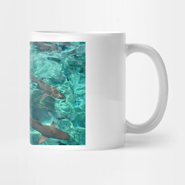 Reef Sharks in Turquoise Water by HFGJewels